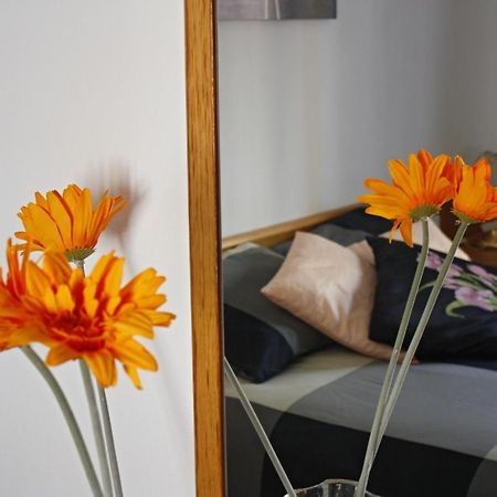 Apartament Sant Joan Sant Joan De Villatorrada Oda fotoğraf